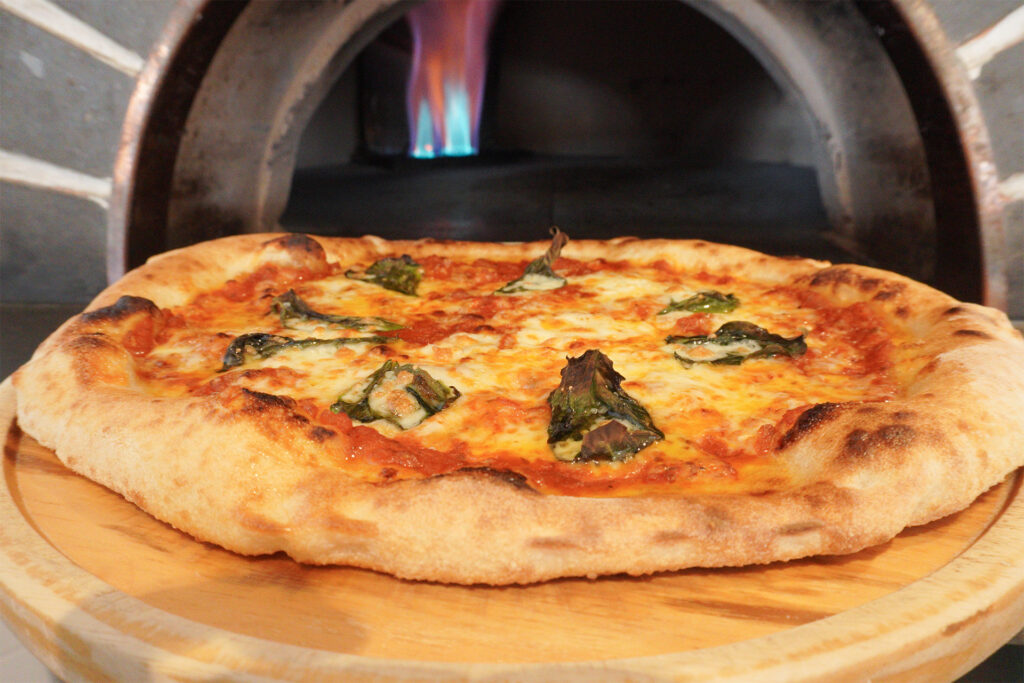 トラットリアＪマリーナ_エレガンザ使用画像_3